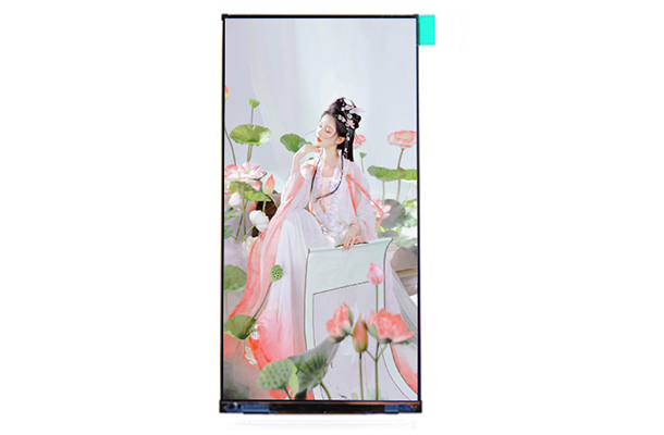 電阻觸摸顯示屏的工作原理、優(yōu)勢(shì)特點(diǎn)、應(yīng)用領(lǐng)域和未來(lái)發(fā)展趨勢(shì)